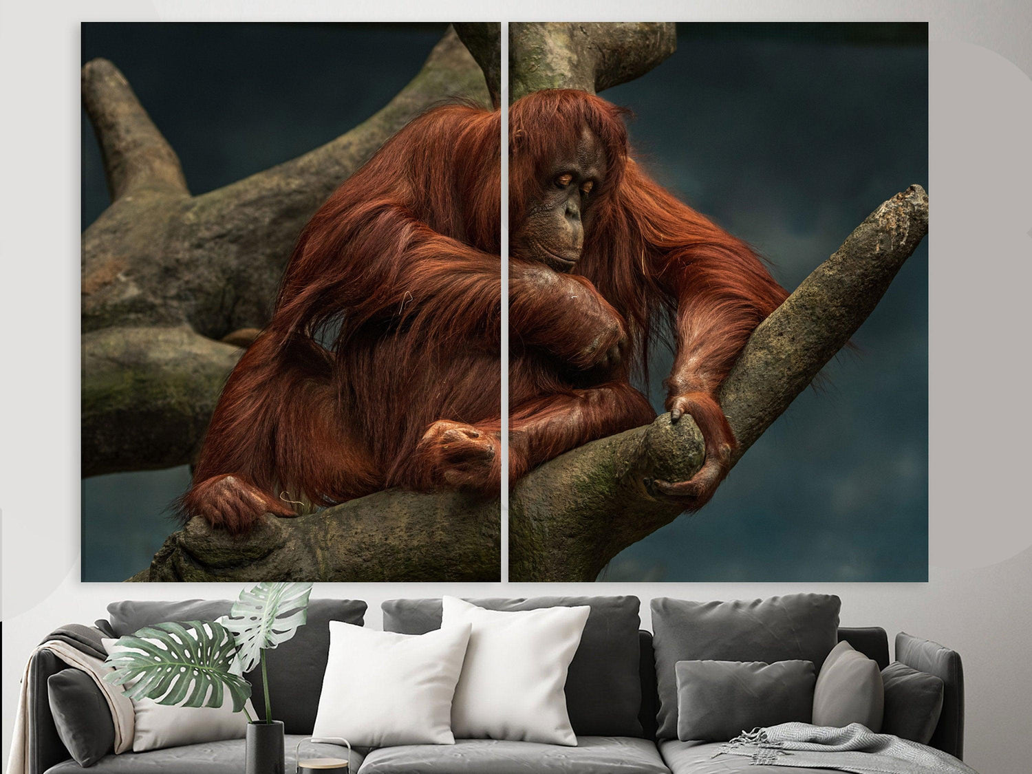 monkey wall art orangutan art print - Scandi Home 