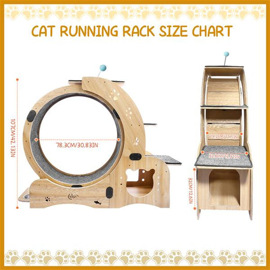 6-in-1 Cat Exercise Wheel – Indoor Fitness & Play System for Active Cats