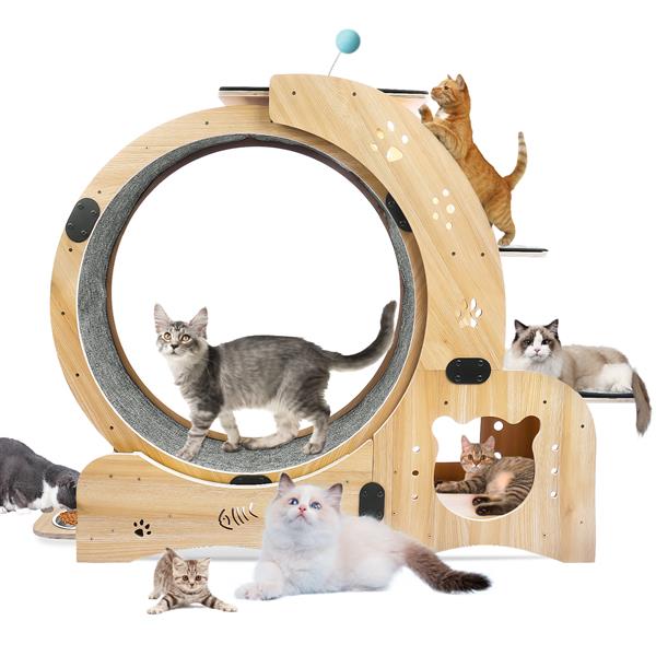 6-in-1 Cat Exercise Wheel – Indoor Fitness & Play System for Active Cats