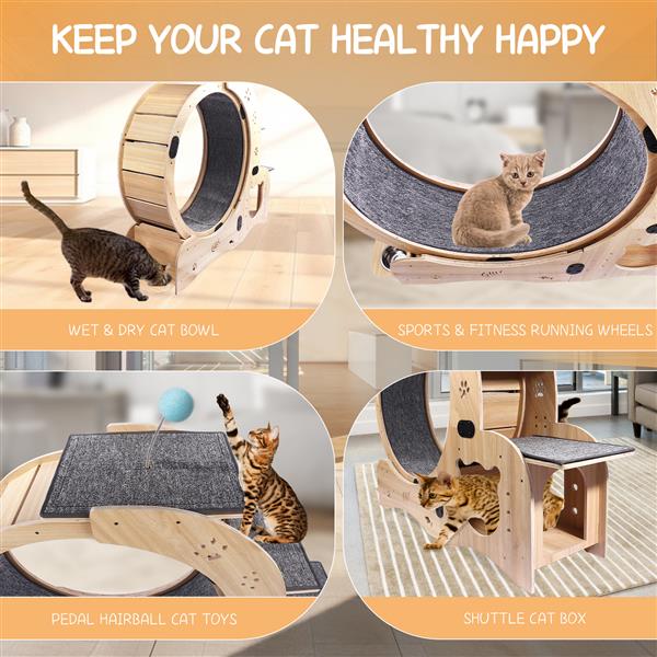 6-in-1 Cat Exercise Wheel – Indoor Fitness & Play System for Active Cats