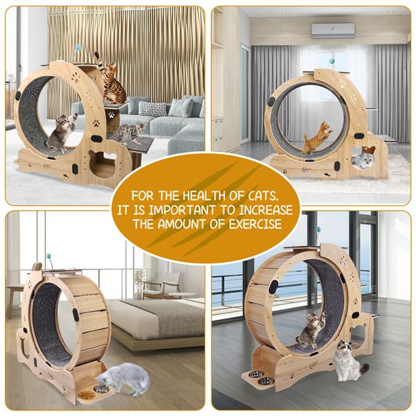 6-in-1 Cat Exercise Wheel – Indoor Fitness & Play System for Active Cats