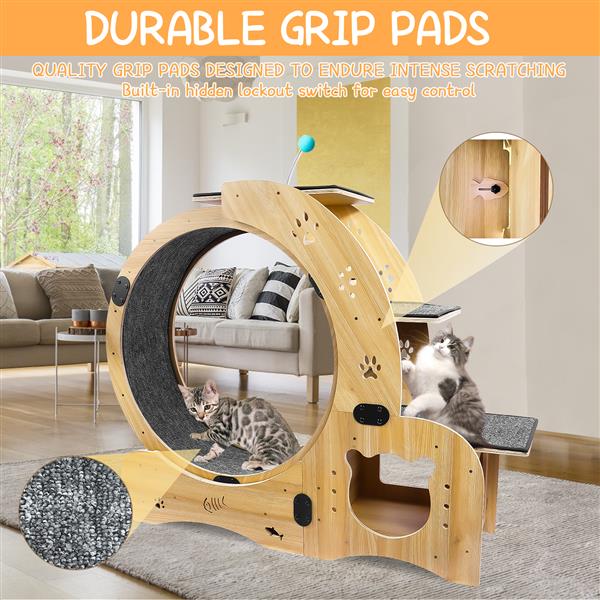 6-in-1 Cat Exercise Wheel – Indoor Fitness & Play System for Active Cats