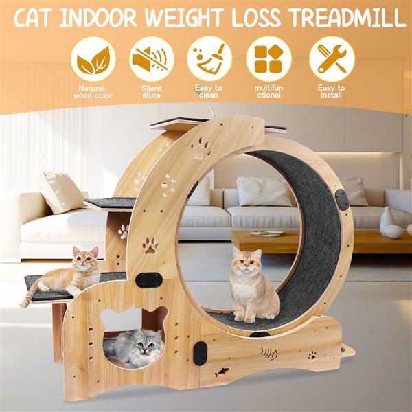 6-in-1 Cat Exercise Wheel – Indoor Fitness & Play System for Active Cats