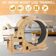 6-in-1 Cat Exercise Wheel – Indoor Fitness & Play System for Active Cats