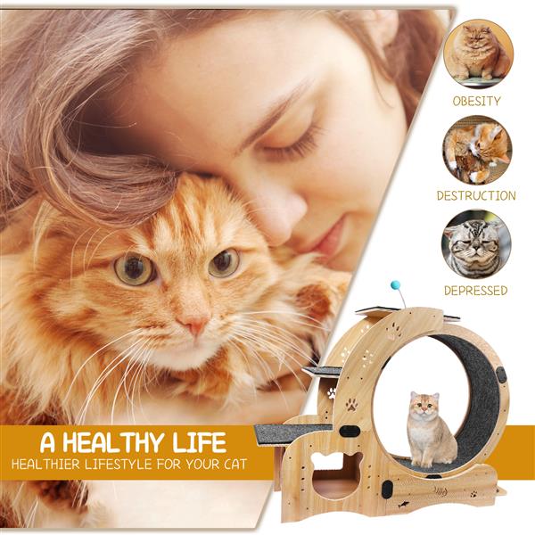 6-in-1 Cat Exercise Wheel – Indoor Fitness & Play System for Active Cats