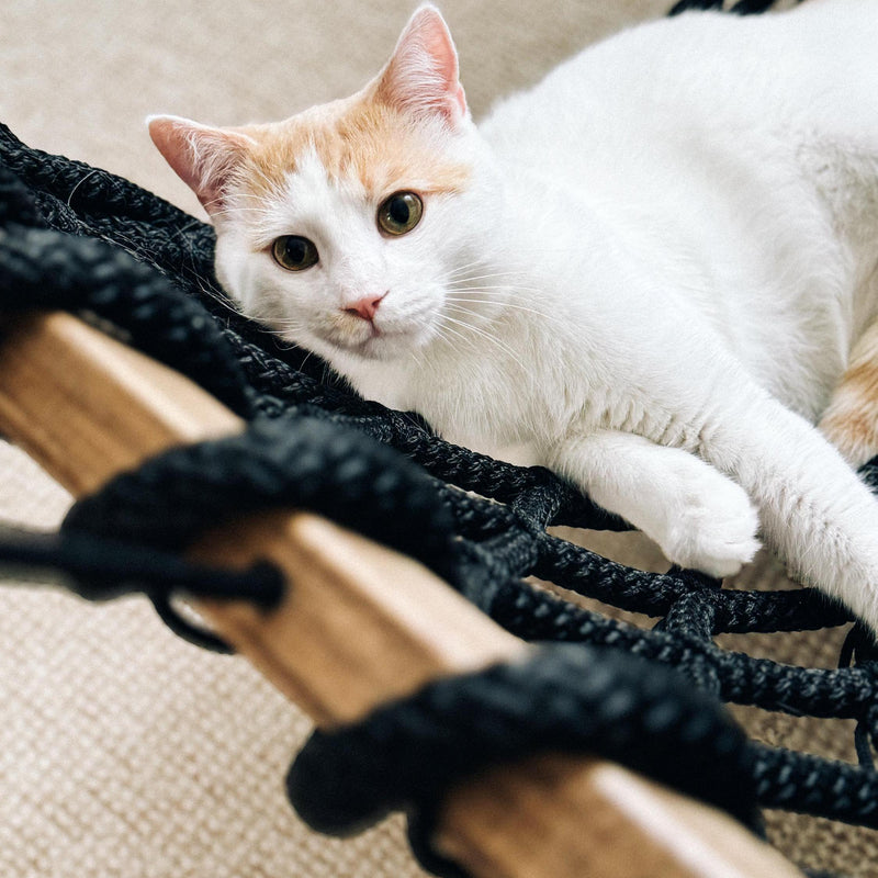 Extra Strong Outdoor Hammock | Handwoven Double HAMMOCK 16mm (5/8 inch) Polypropylene Rope | Durable & Weather-Resistant