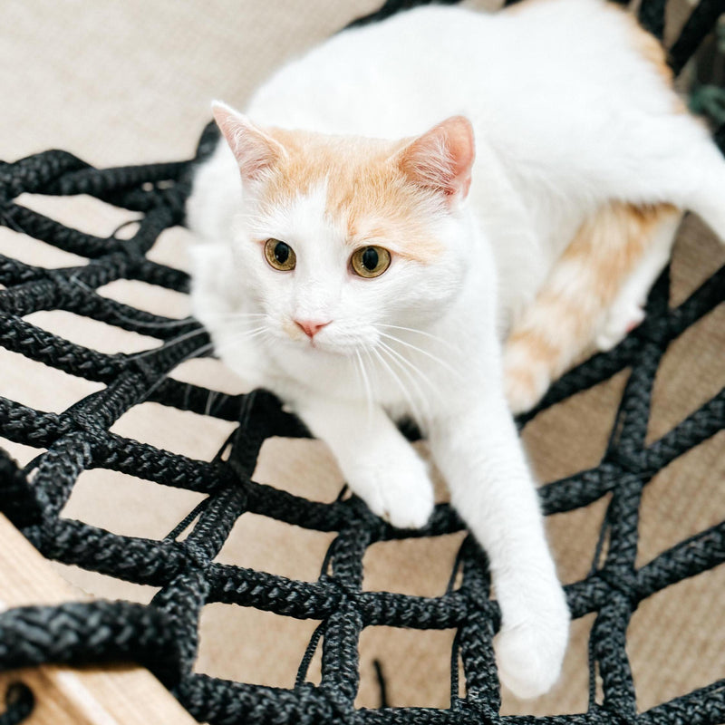 Extra Strong Outdoor Hammock | Handwoven Double HAMMOCK 16mm (5/8 inch) Polypropylene Rope | Durable & Weather-Resistant