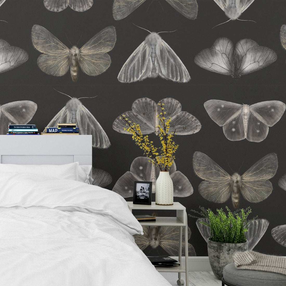 vintage wallpaper moths and butterflies, dark wall mural with butterfly ...
