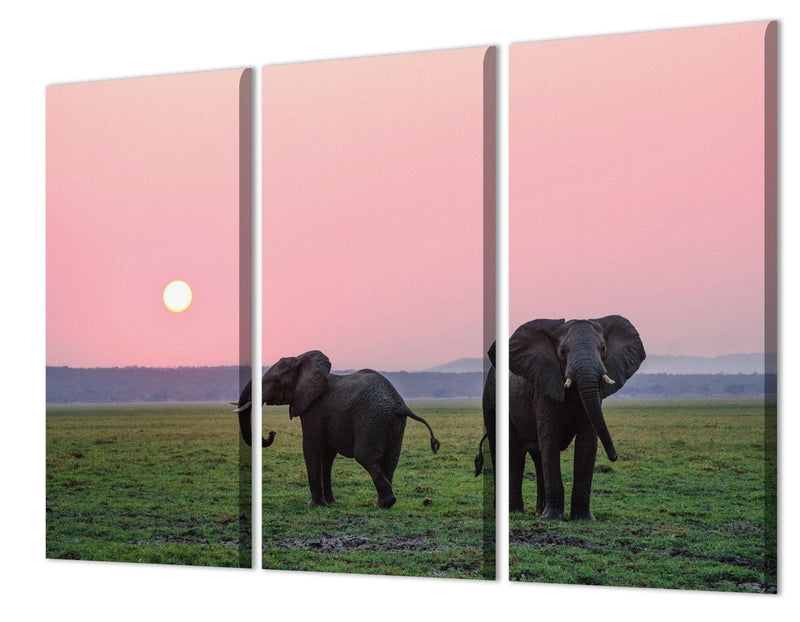 Canvas print
