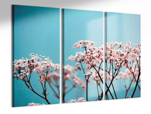 Canvas printWS 077