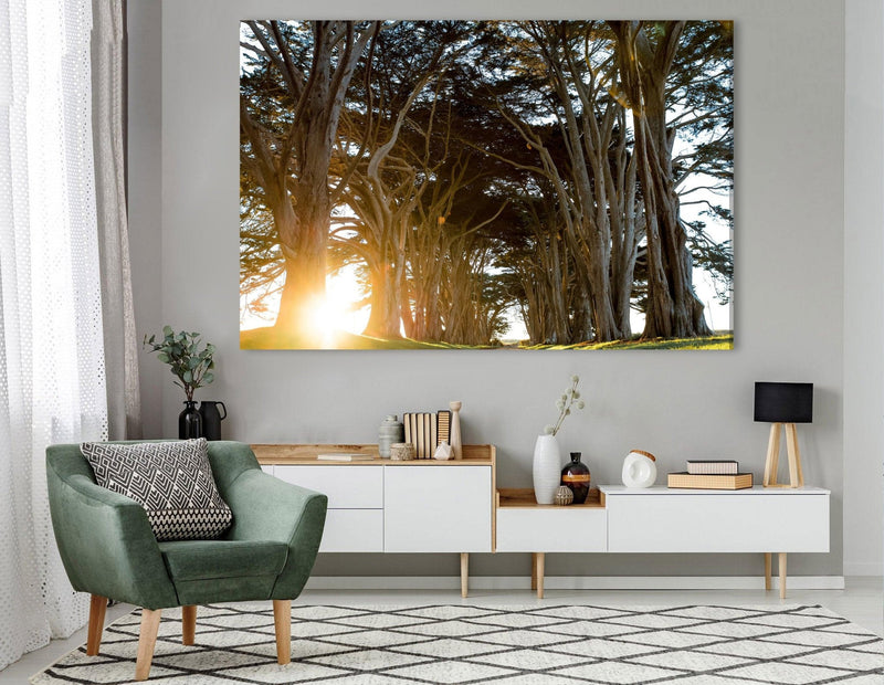 Canvas printWS 043