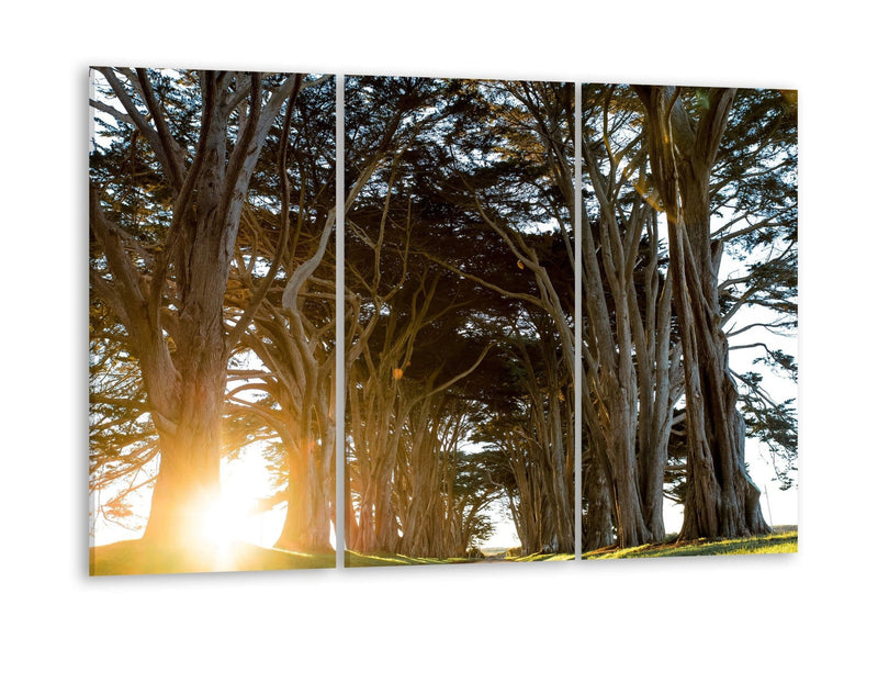 Canvas printWS 043