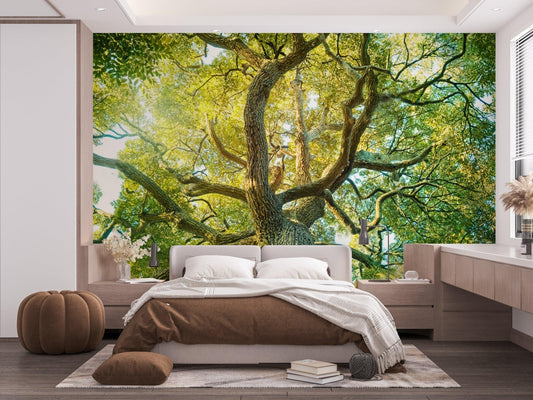 Wallpaperjk 40 580231894