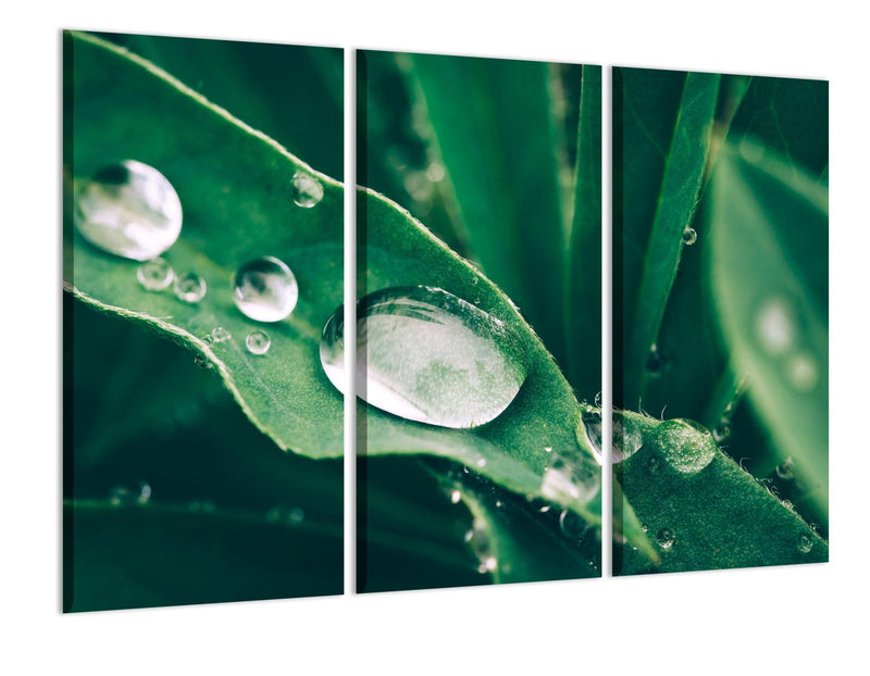 Canvas print