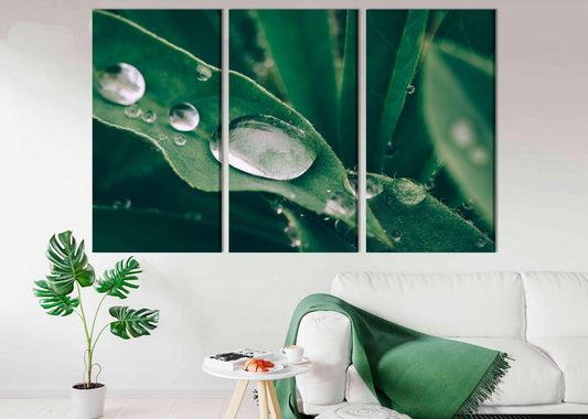 Canvas print