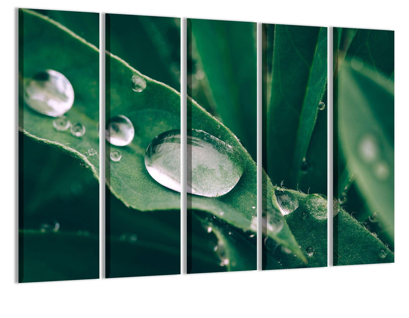 Canvas print
