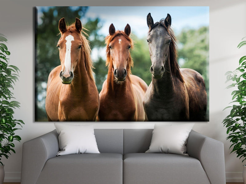 Canvas print