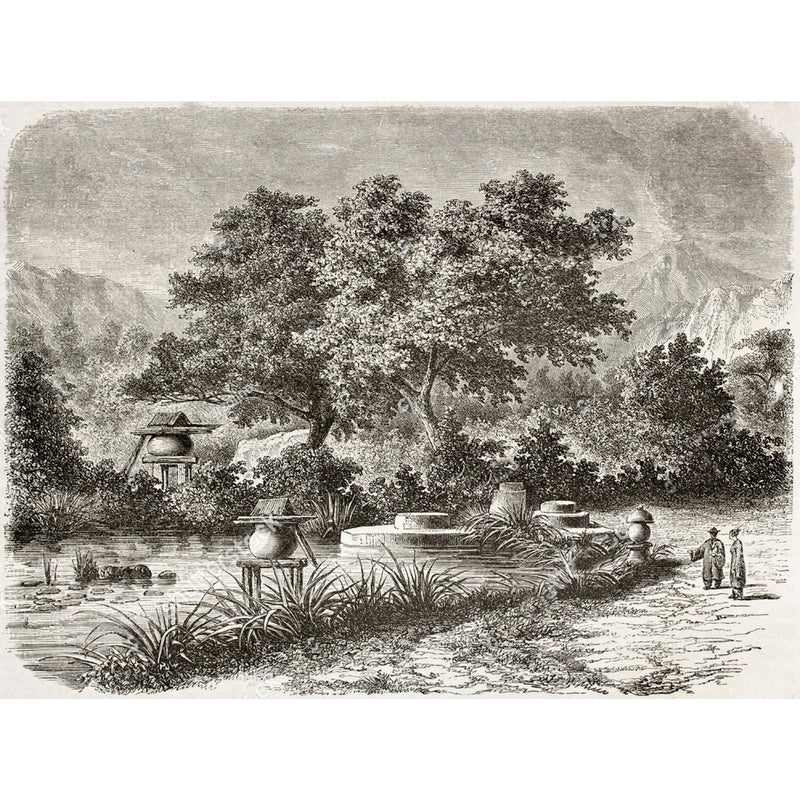 Wallpaperwr66 82567045