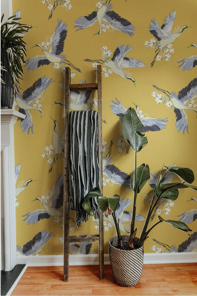 Wallpaperwr62 781037179