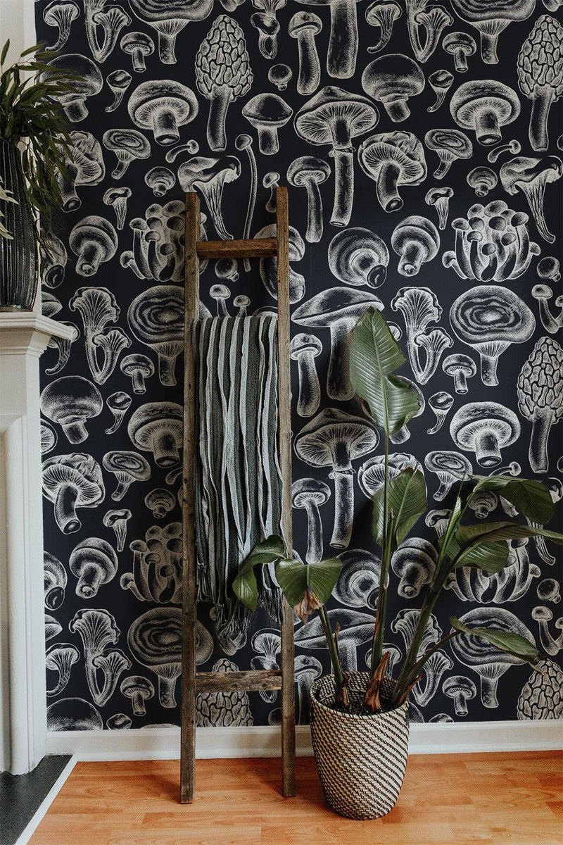 Wallpaper2197938415