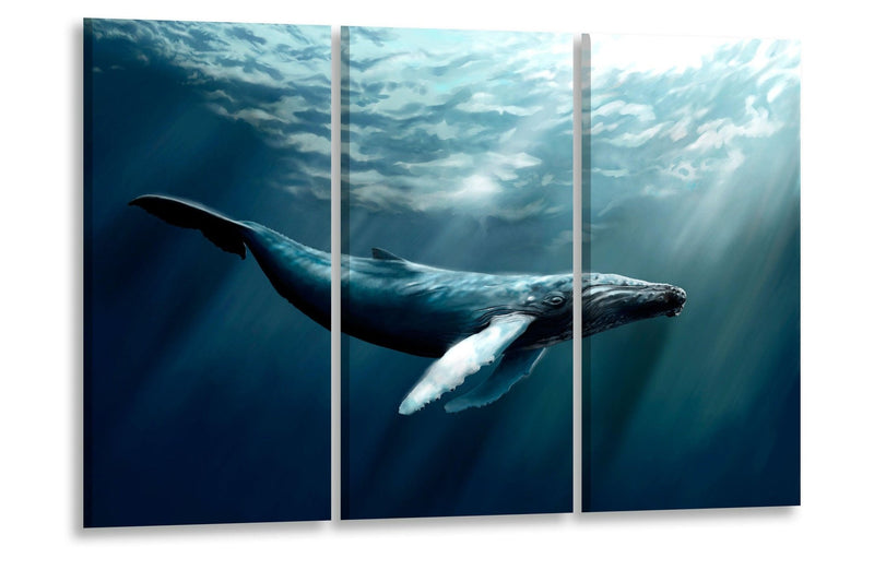 Canvas print